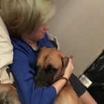 Wendy Winstead🌹 - @macwinstead - Instagram