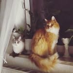 Wendy & Winston - @wendyandwinston - Instagram