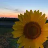 Wendy Winston - @wendywinston - TikTok