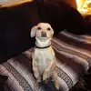 Wendy Wipperman - @wendy.wipperman - TikTok
