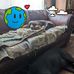 Wendy Wiseman - Facebook