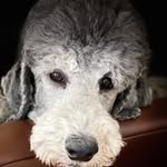 Wendy Wirth - @buddhawirth - Instagram