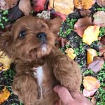 Wendy Wisdom - @wisdomwl - Instagram