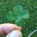 Wendy Witherow - Facebook