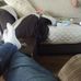 Wendy Withrow - Facebook