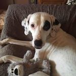 Wendy Withrow - @wendy.withrow - Instagram