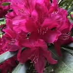 Wendy Woolf - @wendywoolf3618 - Instagram