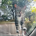 Wendy Woolfenden - @wendywoolfenden - Instagram