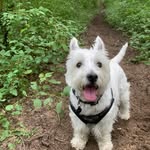 Wendy Wright - @wendy__wright - Instagram