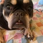 Wendy Wright - Facebook