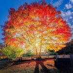 Wendy Wyeth - @wyethwendy - Instagram