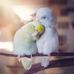 Wendy Wyeth - Facebook