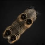 wenhao deng - @whenhow1117 - Instagram