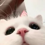 Wenjun LU - @ulrica720 - Instagram