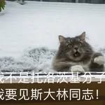 Wenjun Lu - @znqf617453535 - Instagram