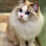 Wenjun Lu - @vicky.wjlu - Instagram
