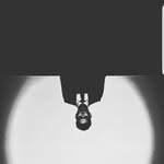 Wenjun Lum - @wenjun.lum - Instagram