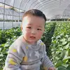 Wenping Zhang - @wenpingzhang - TikTok
