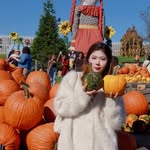 Wenqi Lu - @elenaaaaalu - Instagram