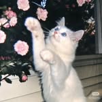 Wenyi Liu - @wenyi7571 - Instagram