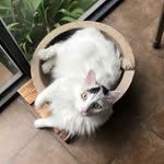 Wenyi Liu - @wenyi383 - Instagram