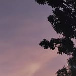 Wenyi Liu - @cesbooooon - Instagram