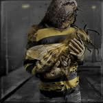 Werner Bartholdi - @wernerbartholdi - Instagram