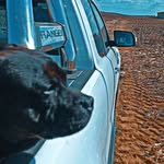 Werner Erasmus - @werner_erasmus111 - Instagram