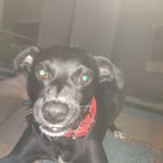 Werner Frank - @wernerfrankrs - Instagram