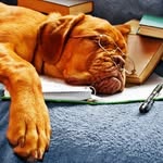 Werner Frank - @rhonkar33 - Instagram