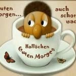 Werner Fuchs - @fuchswerner22 - Instagram