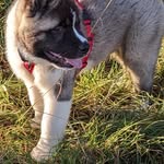 Werner Klein - @renshiwk - Instagram