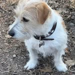 Werner Klein - @werner.klein.9634 - Instagram