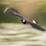 Werner Sauter - @sauterwernerphotoworks - Instagram