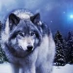 Werner Sauter - @wernersauter - Instagram