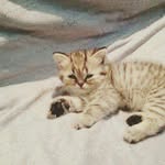 Werner Schilling - @_w.s_1930 - Instagram
