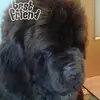 Werner Schmidt - @werner.schmidt6 - TikTok