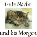 kay-werner seidel - @kaywernerseidel - Instagram