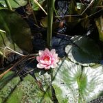 Werner Seidel - @werner.seidel.180 - Instagram