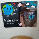 Werner Thiel - @wernerthiel67 - Instagram
