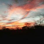 werner venter - @werner_venter_456 - Instagram