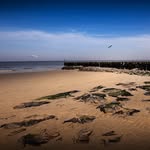Werner Weber - @wernerweber7 - Instagram