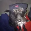 Werner Weber - @werner.weber4 - TikTok