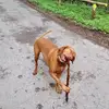 wernerweber8 - @wernerweber8 - TikTok