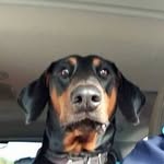 Wes Bailey - @wes.bailey.77 - Instagram