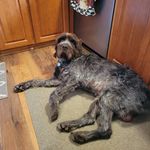 wes bartlett - @wesbartlett50 - Instagram