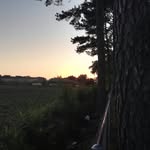 Wes Barton - @wes__barton - Instagram