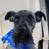 Weston - @wes.bauerr - TikTok