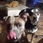 Wes Benton - @rpewes424208 - Instagram