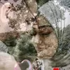 wesben - @wesbeneeeee - TikTok